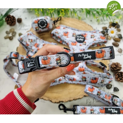 Little Pumpkin Bear Cub Dog Collar