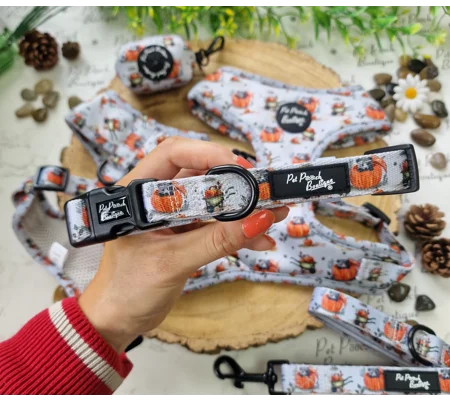 Little Pumpkin Bear Cub Dog Collar