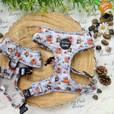 Little Pumpkin Bear Cub Dog Harness