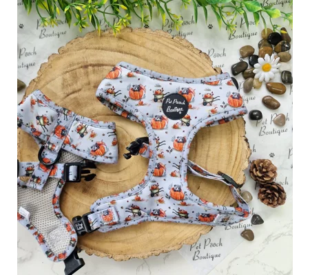 Little Pumpkin Bear Cub Dog Harness
