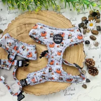 Little Pumpkin Bear Cub  ID Dog Tag - NEW STYLE