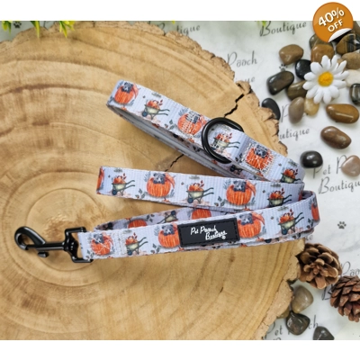 Little Pumpkin Bear Cub..