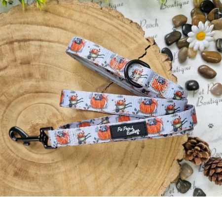 Little Pumpkin Bear Cub Dog Lead - Reversible