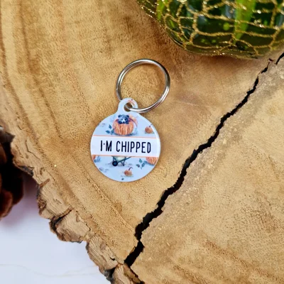 Little Pumpkin Bear Cub  ID Dog Tag - NEW STYLE