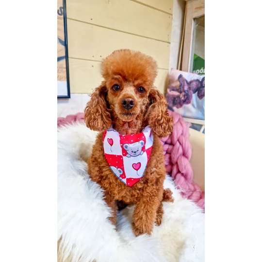 Pink Love Bug Bear Dog Bandana