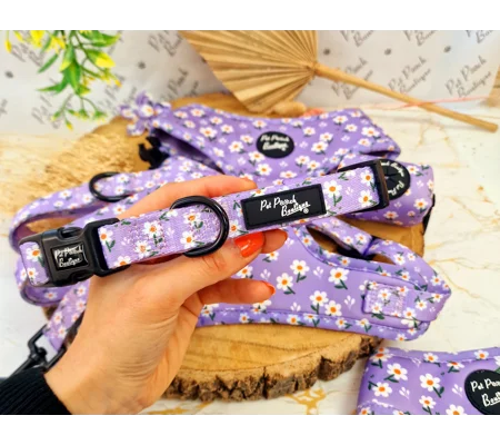 Lucky Little Lavender Daisies Dog Collar- Optional Flower Accessory