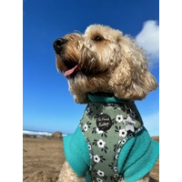 Green Meadow Daisy Dog Harness  - optional flower accessory