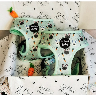 Mint Choc Chip Easter Bunny Harness Mint Choc Chip Easter Bunny Harness