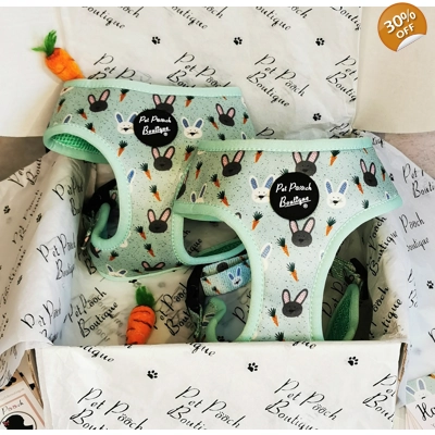 Mint Choc Chip Easter Bunny Harness
