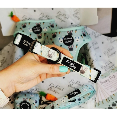 Mint Choc Chip Easter Bunny Dog Collar