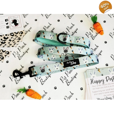 Mint Choc Chip Easter Bunny Lead - Reversible