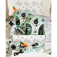 Mint Choc Chip Easter Bunny Harness