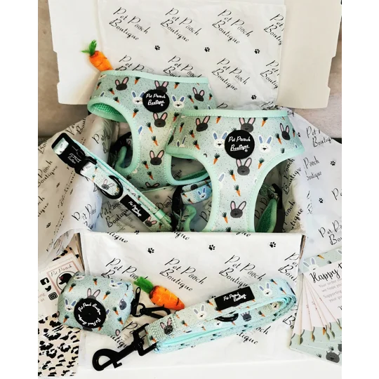 Mint Choc Chip Easter Bunny Harness