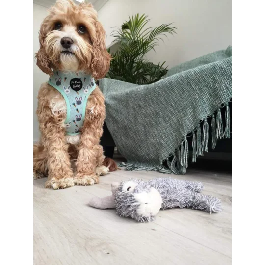 Mint Choc Chip Easter Bunny Harness