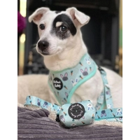 Mint Choc Chip Easter Bunny Lead - Reversible