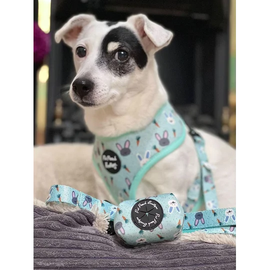 Mint Choc Chip Easter Bunny Lead - Reversible
