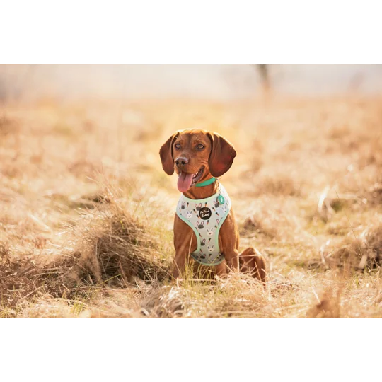 Mint Choc Chip Easter Bunny Harness