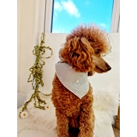 Mint Green Heart of Gold Dog Bandana