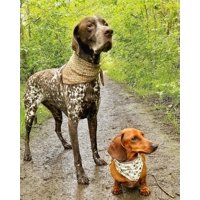 Cream & Khaki Leopard Dog Bandana