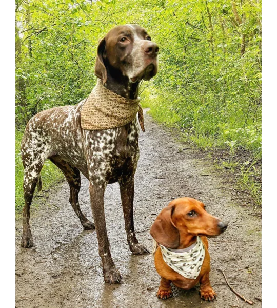 Cream & Khaki Leopard Dog Bandana