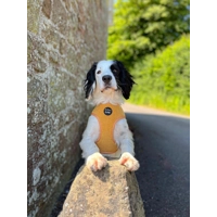 Mustard Yellow Cord Dog Harness