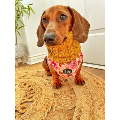 Mustard Flecks Roll Top Dog Snood Mustard Flecks Roll Top Dog Snood