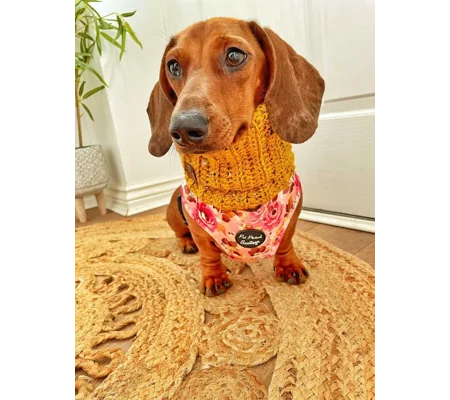 Mustard Flecks Roll Top Dog Snood