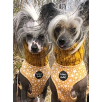 Mustard Flecks Roll Top Dog Snood