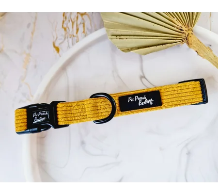 Mustard Yellow Cord Dog Collar