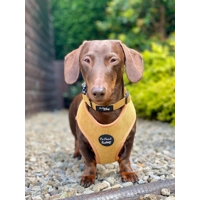 Mustard Yellow Cord Dog Harness