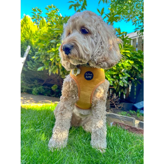 Mustard Yellow Cord Dog Harness