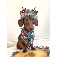 Nutcracker in Blue Christmas Dog Bandana