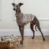 Oasis  ALPACA WOOL DOG JUMPER - ALQO WASI