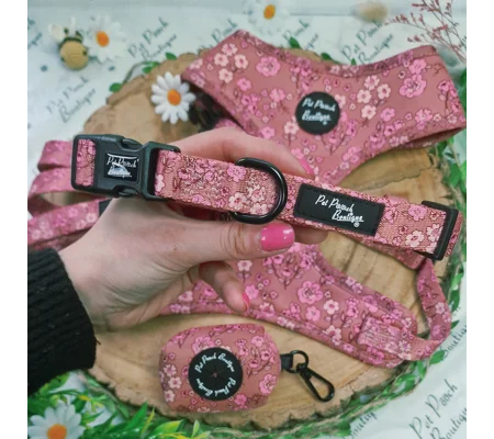 Olde Garden Bloom Dog Collar