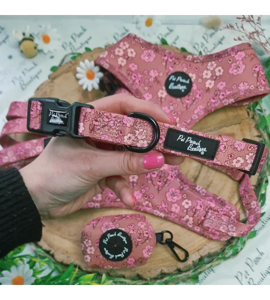 Olde Garden Bloom Dog Collar