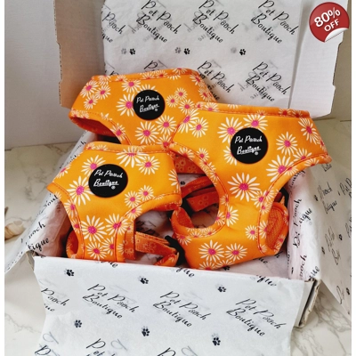 Orange Daisies Dog Harness