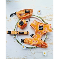 Orange Daisies Dog Harness