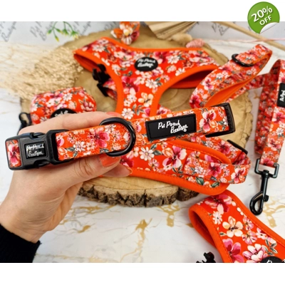 Sweet Marmalade Blossom Floral Dog Collar- Optional Flower Accessory