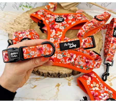 Sweet Marmalade Blossom Floral Dog Collar- Optional Flower Accessory