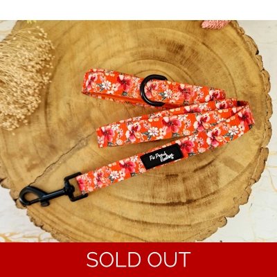 Sweet Marmalade Blossom Floral Dog Lead - Reversible Sweet Marmalade Blossom Floral Dog Lead - Reversible