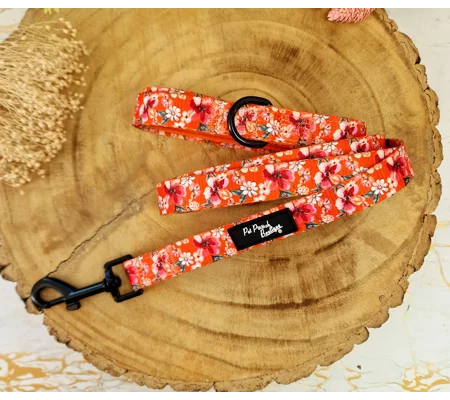 Sweet Marmalade Blossom Floral Dog Lead - Reversible