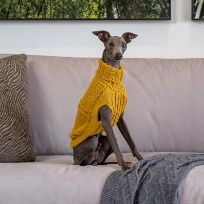 Oscar Block Mustard ALQO WOOL DOG JUMPER - ALQO WASI Oscar Block Mustard ALQO WOOL DOG JUMPER - ALQO WASI