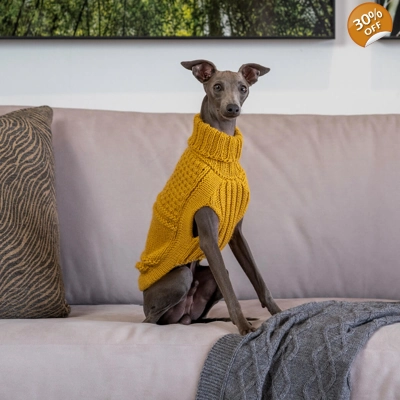 Oscar Block Mustard ALQO WOOL DOG JUMPER - ALQO WASI