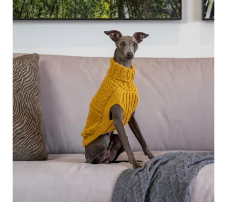 Oscar Block Mustard ALQO WOOL DOG JUMPER - ALQO WASI