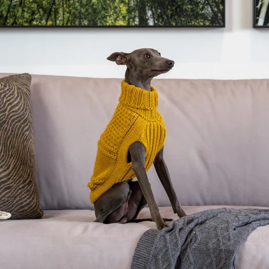 Oscar Block Mustard ALQO WOOL DOG JUMPER - ALQO WASI