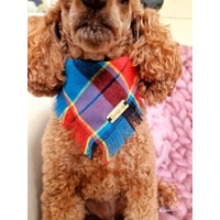 Frayed Paddys Plaid Plaid Bandana - Scamps