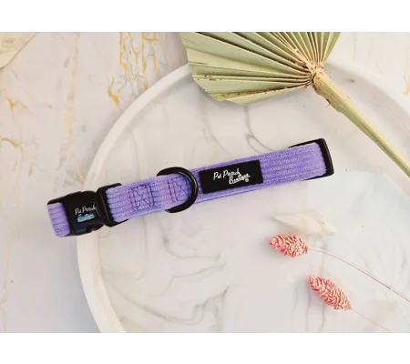 Pastel Purple Cord Dog Collar