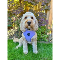 Pastel Purple Cord Dog Collar