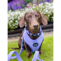 Pastel Purple Cord Dog Collar