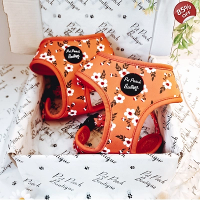 Peach & Ivy Blossom Dog Harness Peach & Ivy Blossom Dog Harness